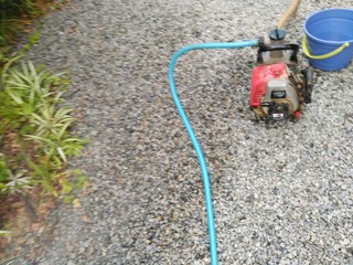 IMG_20200810_181724.jpg